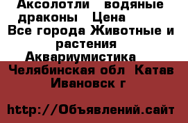 Аксолотли / водяные драконы › Цена ­ 500 - Все города Животные и растения » Аквариумистика   . Челябинская обл.,Катав-Ивановск г.